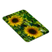 Magnet Flexible Deux tournesols (Côté Droit)