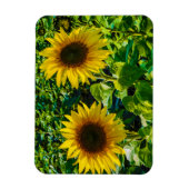 Magnet Flexible Deux tournesols (Vertical)