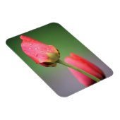 Magnet Flexible Deux tulipes roses (Côté Droit)
