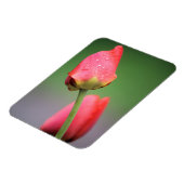 Magnet Flexible Deux tulipes roses (Côté Gauche)