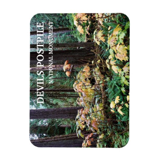 Magnet Flexible Devil's Club, Devils Postpile Monument National (Vertical)