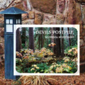 Magnet Flexible Devil's Club, Devils Postpile Monument National