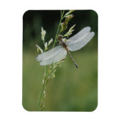 Magnet Flexible Dew couvert Darner Dragonfly (Vertical)