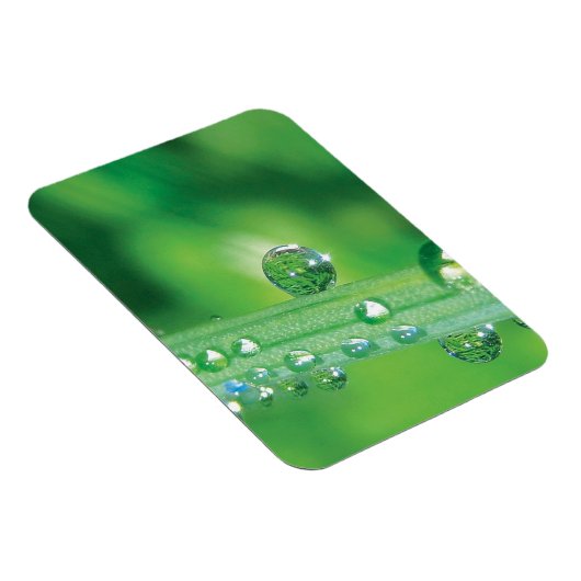 Magnet Flexible Dew Drop on Green Grass Meditation (Côté Droit)