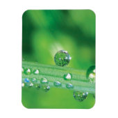Magnet Flexible Dew Drop on Green Grass Meditation (Vertical)