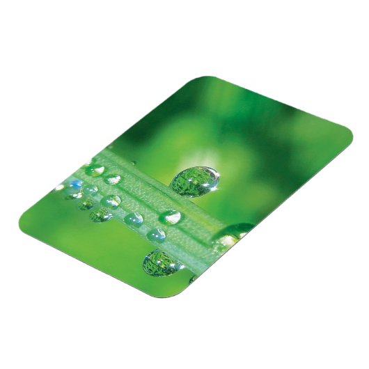 Magnet Flexible Dew Drop on Green Grass Meditation (Côté Gauche)