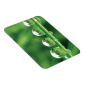 Magnet Flexible Dew Drops On Green Grass Elegant Nature (Côté Droit)