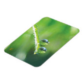 Magnet Flexible Dew Drops on Green Grass Peaceful Nature (Côté Gauche)