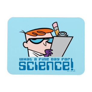 Magnet Flexible Dexter