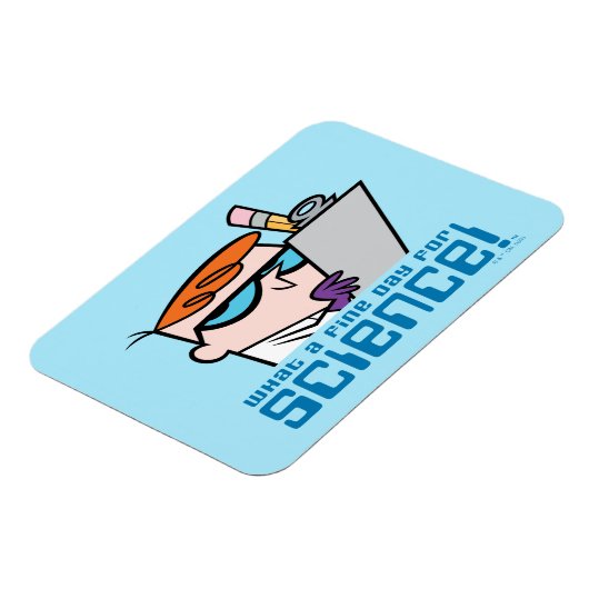 Magnet Flexible Dexter (Côté Gauche)