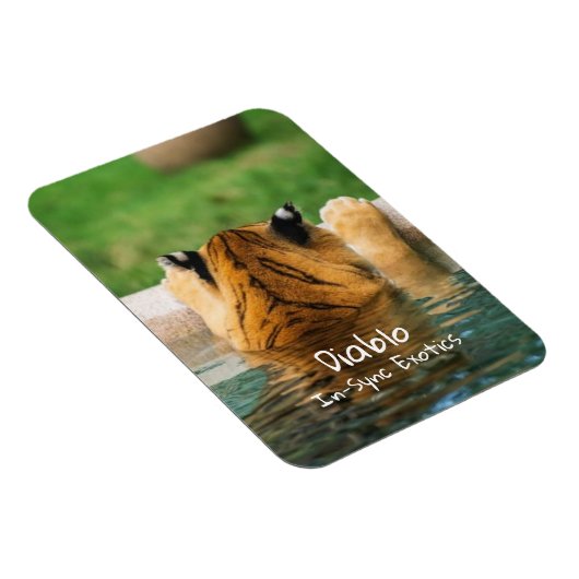 Magnet Flexible Diablo - (Côté Droit)