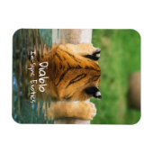 Magnet Flexible Diablo - (Horizontal)