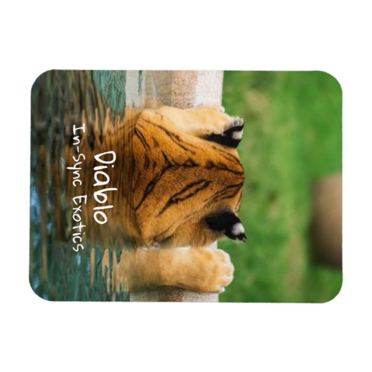 Magnet Flexible Diablo - (Horizontal)