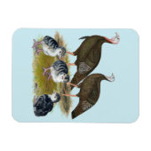 Magnet Flexible Dindes Famille Sauvage de l'Est (Horizontal)