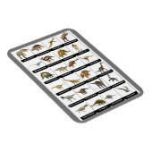 Magnet Flexible Dinosaures - Magnat graphique (Côté Droit)