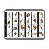 Magnet Flexible Dinosaures - Magnat graphique (Horizontal)