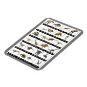 Magnet Flexible Dinosaures - Magnat graphique (Côté Gauche)