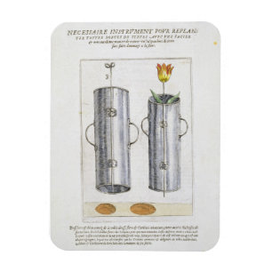 Magnet Flexible Dispositif pour replanter des fleurs, de 'Hortus