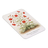 Magnet Flexible Distracta dispersissima - La Fleur Éparse (Côté Droit)