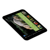 Magnet Flexible Divers animaux d'Amérique du Sud (Côté Droit)