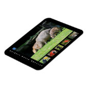 Magnet Flexible Divers animaux d'Amérique du Sud (Côté Gauche)