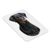 Magnet Flexible Doberman Pinscher - Aimant naturel noir (Côté Droit)