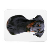 Magnet Flexible Doberman Pinscher - Aimant naturel noir (Horizontal)