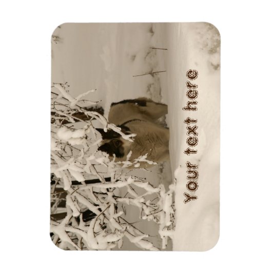 Magnet Flexible Dog (Vertical)