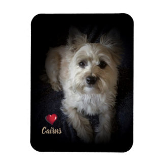 Magnet Flexible Dog Cairn Terrier "Amoureux des chiens" Aimant fle