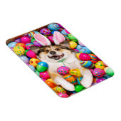 Magnet Flexible Dog Laying on Easter Eggs (Côté Droit)