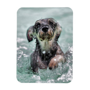 Magnet Flexible Doggy Paddle mignon chien nager