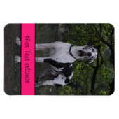 Magnet Flexible Dogrands Danois (Horizontal)
