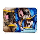 Magnet Flexible Dogs and Cat Grads in Photo Booth (Horizontal)