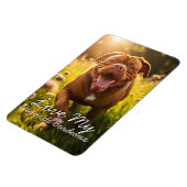 Magnet Flexible Dogue de Bordeaux Frigo personnalisé (Côté Gauche)