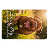 Magnet Flexible Dogue de Bordeaux Frigo personnalisé (Horizontal)