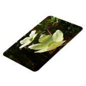 Magnet Flexible Dogwoods et séquoias dans le parc national Yosemit (Côté Gauche)