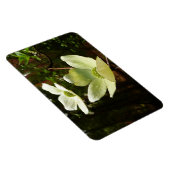 Magnet Flexible Dogwoods et séquoias dans le parc national Yosemit (Côté Droit)