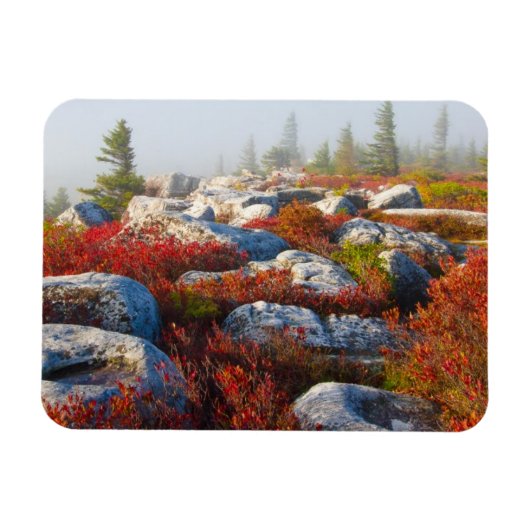Magnet Flexible Dolly Sods Wilderness Tombe Pittoresque Avec Fog (Horizontal)