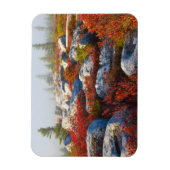 Magnet Flexible Dolly Sods Wilderness Tombe Pittoresque Avec Fog (Vertical)