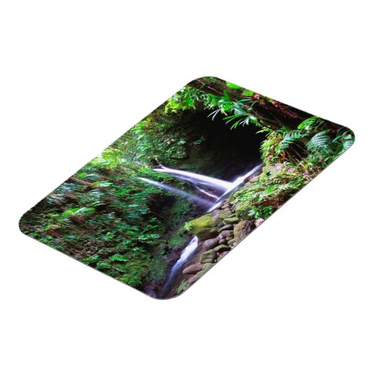 Magnet Flexible Dominica Emerald Pool (Côté Gauche)
