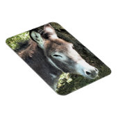 MAGNET FLEXIBLE DONKEY (Côté Droit)