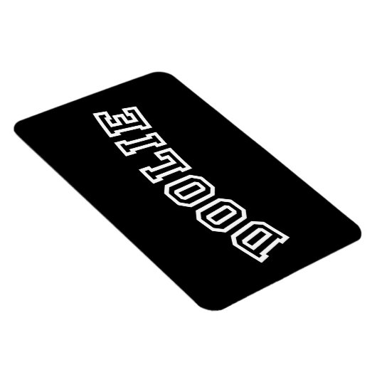 MAGNET FLEXIBLE DOOLIE (Côté Droit)