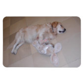 Magnet Flexible Dormant Golden Retriever (Horizontal)