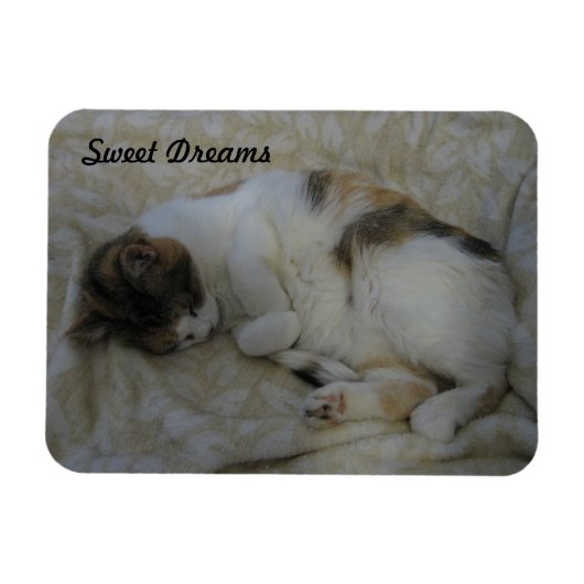 Magnet Flexible Dormir Chat Sweet Dreams (Horizontal)