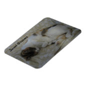 Magnet Flexible Dormir Chat Sweet Dreams (Côté Gauche)