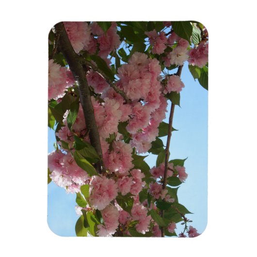 Magnet Flexible Double Blossoming Cherry (Vertical)
