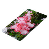 Magnet Flexible Double rouge et blanc Azaleas printemps floral (Côté Gauche)