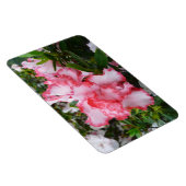 Magnet Flexible Double rouge et blanc Azaleas printemps floral (Côté Droit)
