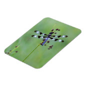 Magnet Flexible Dragon fly perched on grass (Côté Gauche)