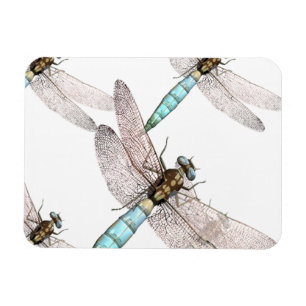 Magnet Flexible Dragonfly Air Force en blanc